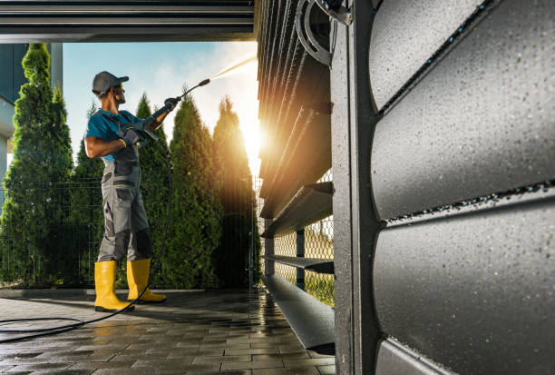 Best Graffiti Removal  in Wheaton, MD